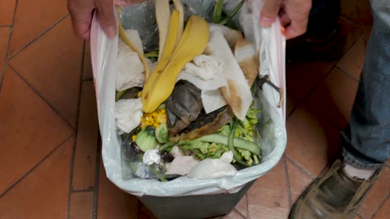 Best Same-Day Junk Removal Services  in Sterling, KS